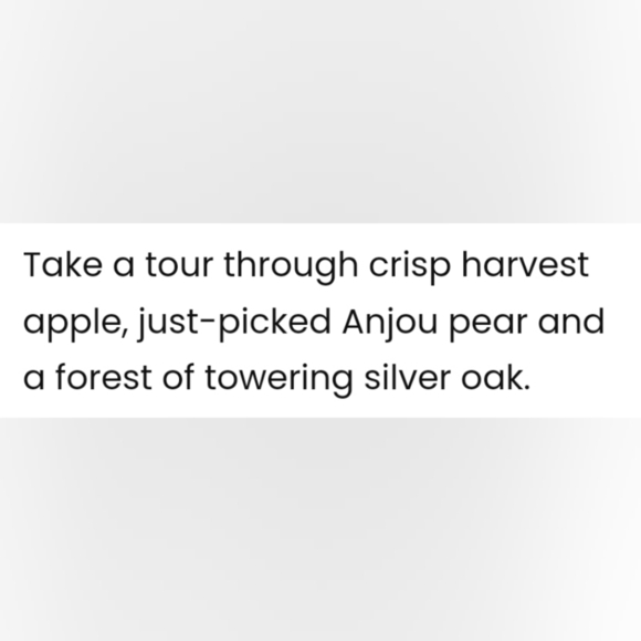 Scentsy Autumn Road Trip Scent Pak Crisp Harvest Apple Anjou Pear Silver Oak - Picture 2 of 2